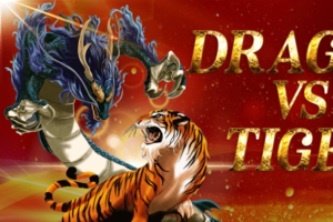 Dragon vs tiger casino Why Are Bonuses So Important